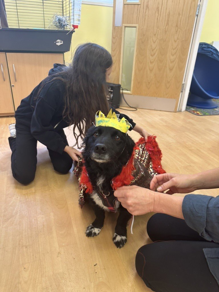 Dog wearing a paper crown and a red and gold cloak