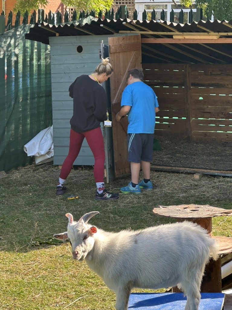 Staff member and child working on a wooden animal shelter, with a goat in the foreground